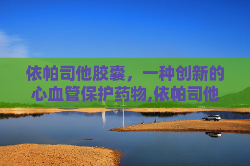 依帕司他胶囊，一种创新的心血管保护药物,依帕司他胶囊用法用量