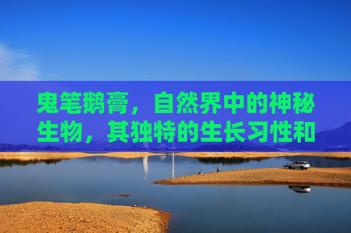 鬼笔鹅膏，自然界中的神秘生物，其独特的生长习性和毒性之谜,鬼笔鹅膏图片