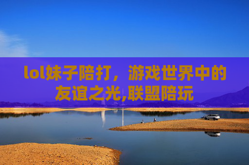 lol妹子陪打，游戏世界中的友谊之光,联盟陪玩