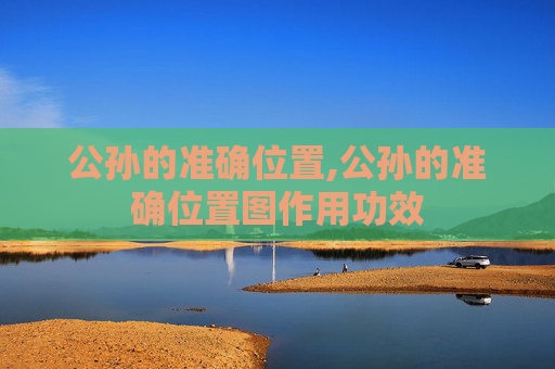 公孙的准确位置,公孙的准确位置图作用功效