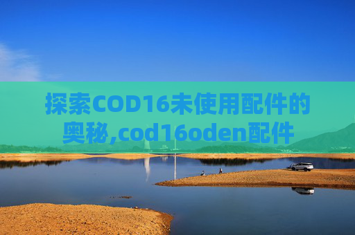 探索COD16未使用配件的奥秘,cod16oden配件
