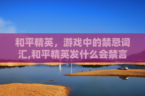和平精英，游戏中的禁忌词汇,和平精英发什么会禁言