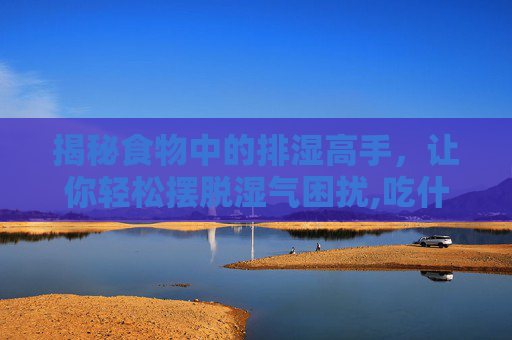 揭秘食物中的排湿高手，让你轻松摆脱湿气困扰,吃什么排湿气最好最快炒菜