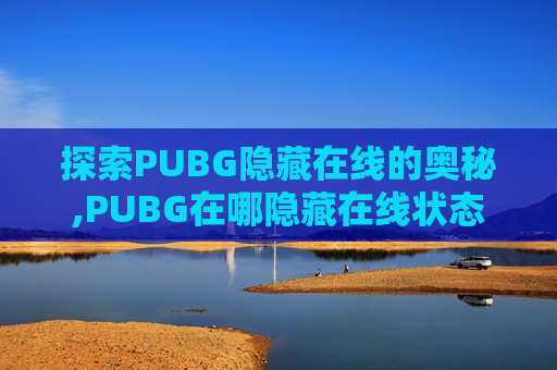 探索PUBG隐藏在线的奥秘,PUBG在哪隐藏在线状态