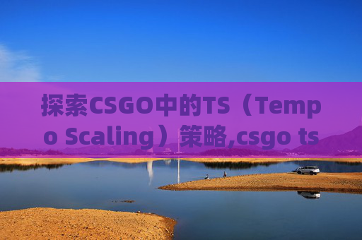 探索CSGO中的TS（Tempo Scaling）策略,csgo ts战队