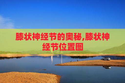 膝状神经节的奥秘,膝状神经节位置图