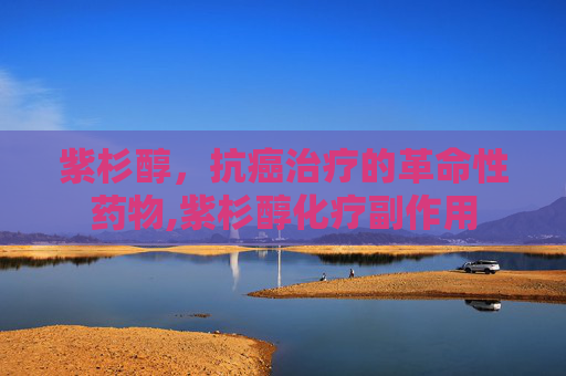 紫杉醇，抗癌治疗的革命性药物,紫杉醇化疗副作用