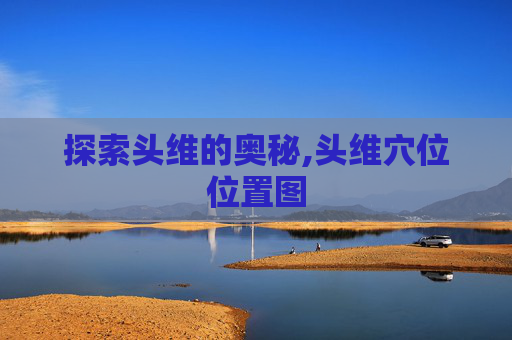 探索头维的奥秘,头维穴位位置图