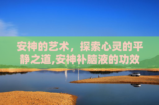 安神的艺术，探索心灵的平静之道,安神补脑液的功效与作用