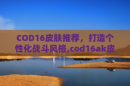 COD16皮肤推荐，打造个性化战斗风格,cod16ak皮肤