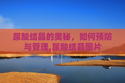 尿酸结晶的奥秘，如何预防与管理,尿酸结晶图片