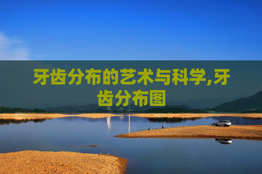 牙齿分布的艺术与科学,牙齿分布图