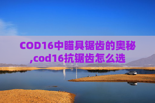 COD16中瞄具锯齿的奥秘,cod16抗锯齿怎么选