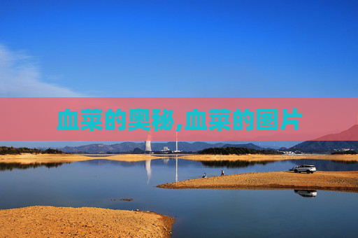 血菜的奥秘,血菜的图片