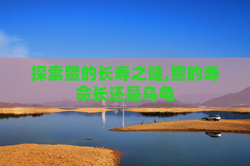 探索鳖的长寿之谜,鳖的寿命长还是乌龟