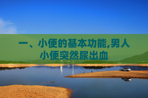一、小便的基本功能,男人小便突然尿出血