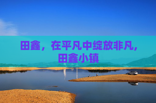 田鑫，在平凡中绽放非凡,田鑫小镇