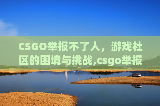 CSGO举报不了人，游戏社区的困境与挑战,csgo举报几次会被禁言