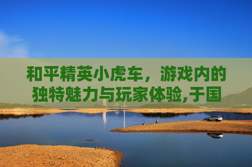 和平精英小虎车，游戏内的独特魅力与玩家体验,于国泳主任医师简介