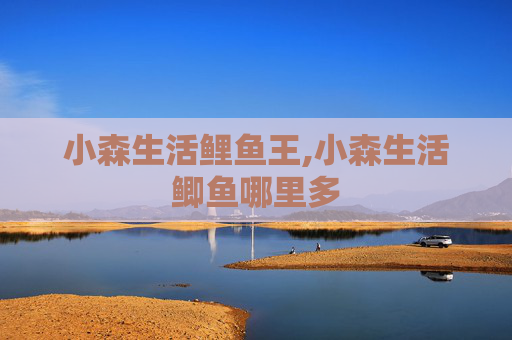 小森生活鲤鱼王,小森生活鲫鱼哪里多