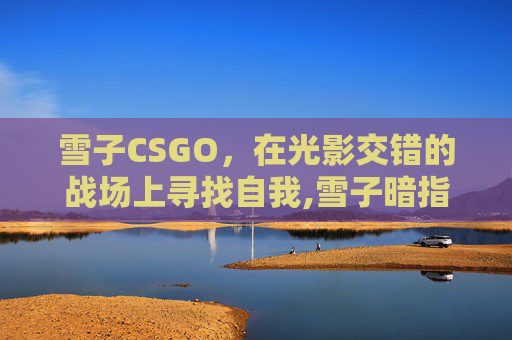 雪子CSGO，在光影交错的战场上寻找自我,雪子暗指女人什么