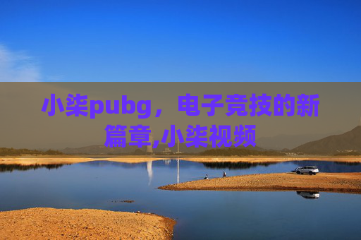 小柒pubg，电子竞技的新篇章,小柒视频