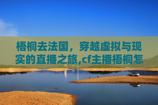 梧桐去法国，穿越虚拟与现实的直播之旅,cf主播梧桐怎么没人看了