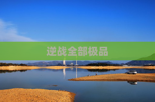 逆战全部极品