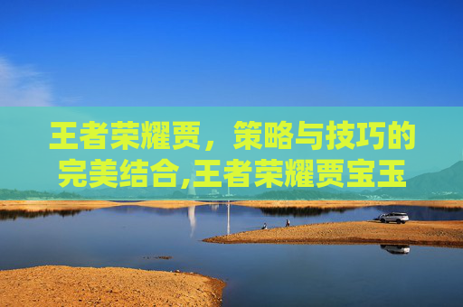 王者荣耀贾，策略与技巧的完美结合,王者荣耀贾宝玉