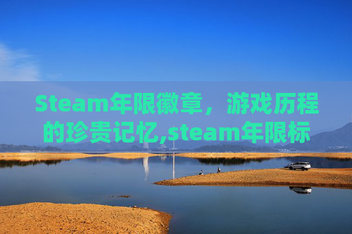Steam年限徽章，游戏历程的珍贵记忆,steam年限标志