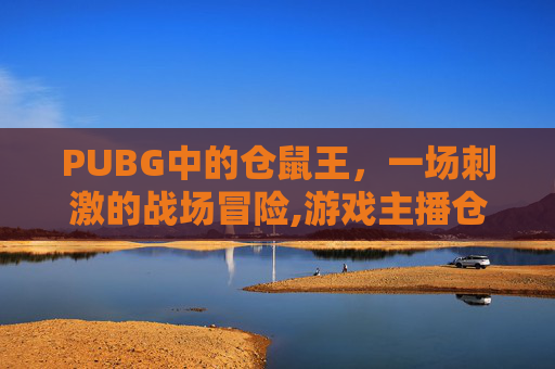 PUBG中的仓鼠王，一场刺激的战场冒险,游戏主播仓鼠王
