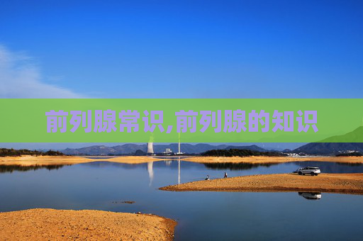 前列腺常识,前列腺的知识