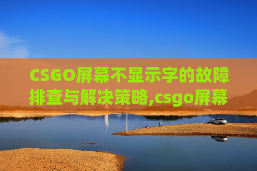 CSGO屏幕不显示字的故障排查与解决策略,csgo屏幕显示不全