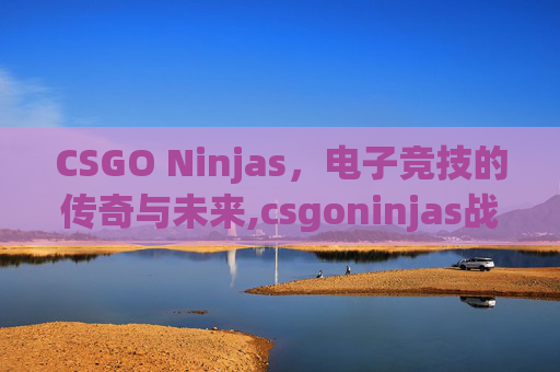 CSGO Ninjas，电子竞技的传奇与未来,csgoninjas战队