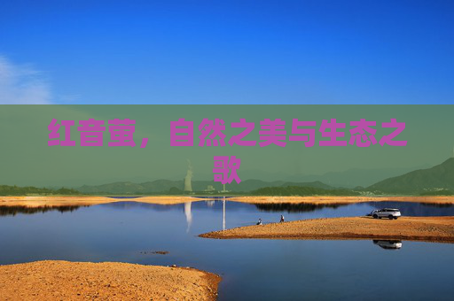 红音萤，自然之美与生态之歌