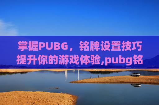 掌握PUBG，铭牌设置技巧提升你的游戏体验,pubg铭牌在哪设置