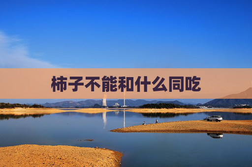 柿子不能和什么同吃