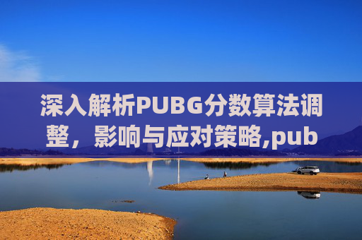 深入解析PUBG分数算法调整，影响与应对策略,pubg怎么算分