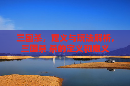 三国杀，定义与玩法解析,三国杀 杀的定义和意义