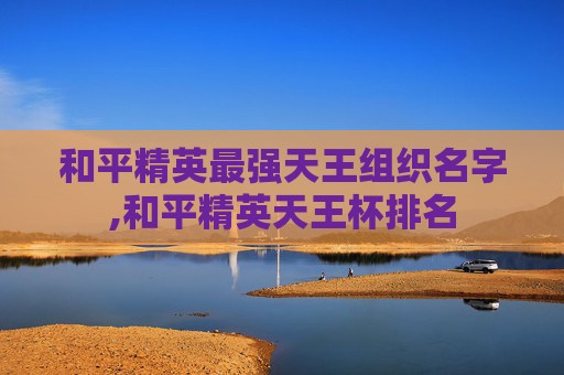 和平精英最强天王组织名字,和平精英天王杯排名