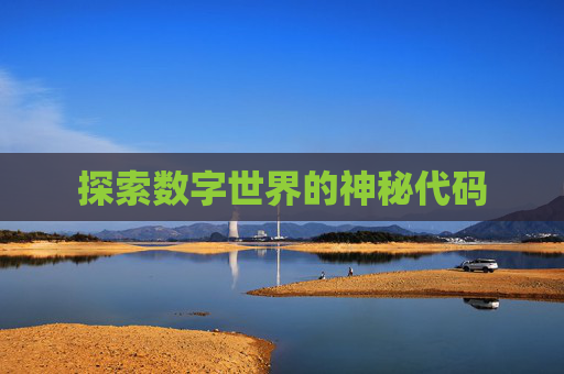 探索数字世界的神秘代码
