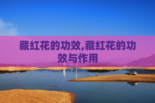 藏红花的功效,藏红花的功效与作用