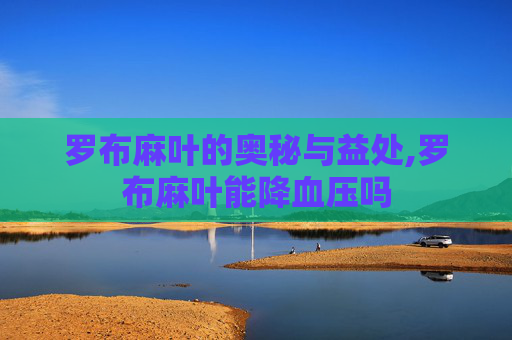 罗布麻叶的奥秘与益处,罗布麻叶能降血压吗