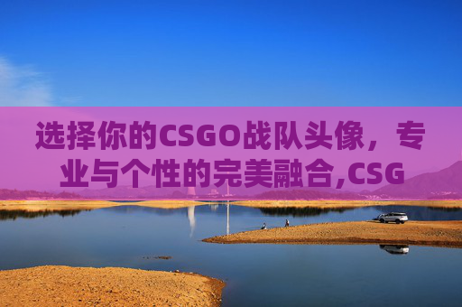 选择你的CSGO战队头像，专业与个性的完美融合,CSGO战队图标