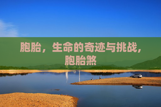 胞胎，生命的奇迹与挑战,胞胎煞