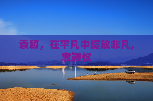 袁颖，在平凡中绽放非凡,袁颖仪