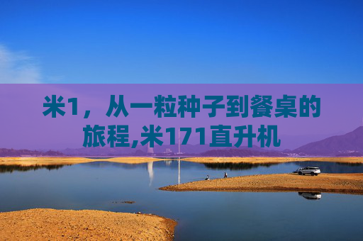米1，从一粒种子到餐桌的旅程,米171直升机