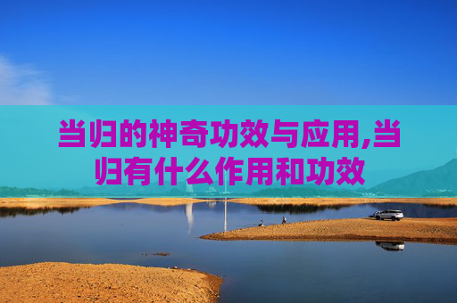 当归的神奇功效与应用,当归有什么作用和功效
