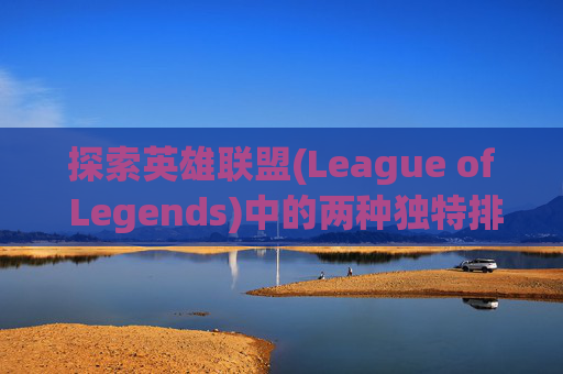 探索英雄联盟(League of Legends)中的两种独特排布策略,英雄联盟双排段位差距