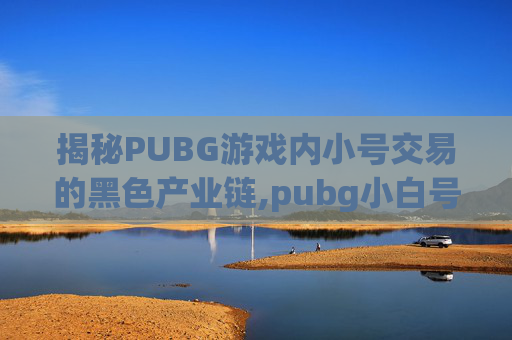 揭秘PUBG游戏内小号交易的黑色产业链,pubg小白号售卖